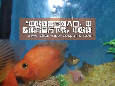 “中欧体育官网入口,中欧体育官方下载,中欧体育平台”阿雅怀孕3个月后已胖5公斤 将赴美生产办登记(图1) 中欧体育官网入口,中欧体育官方下载,中欧体育平台