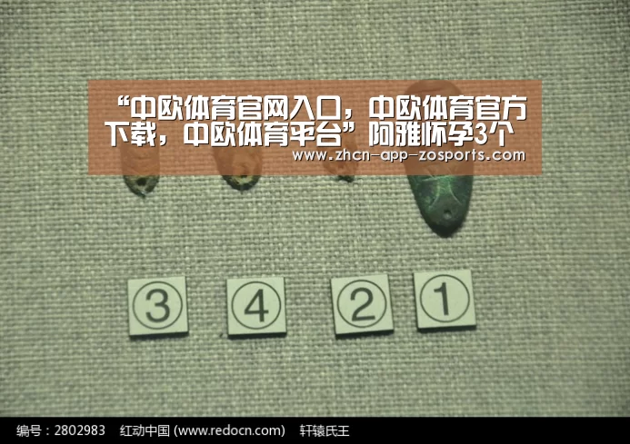 “中欧体育官网入口,中欧体育官方下载,中欧体育平台”阿雅怀孕3个月后已胖5公斤 将赴美生产办登记(图3) 中欧体育官网入口,中欧体育官方下载,中欧体育平台