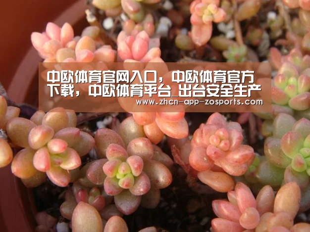 中欧体育官网入口,中欧体育官方下载,中欧体育平台_出台安全生产主体责任落实意见,明确事故刑事责任立案标准(图3) 中欧体育官网入口,中欧体育官方下载,中欧体育平台
