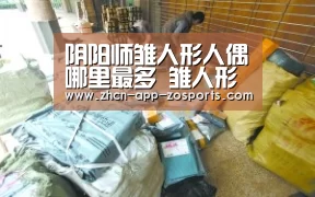 中欧体育官网入口，中欧体育官方下载，中欧体育平台
