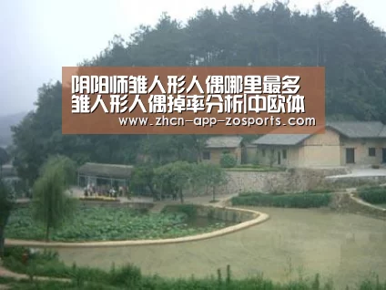 中欧体育官网入口，中欧体育官方下载，中欧体育平台