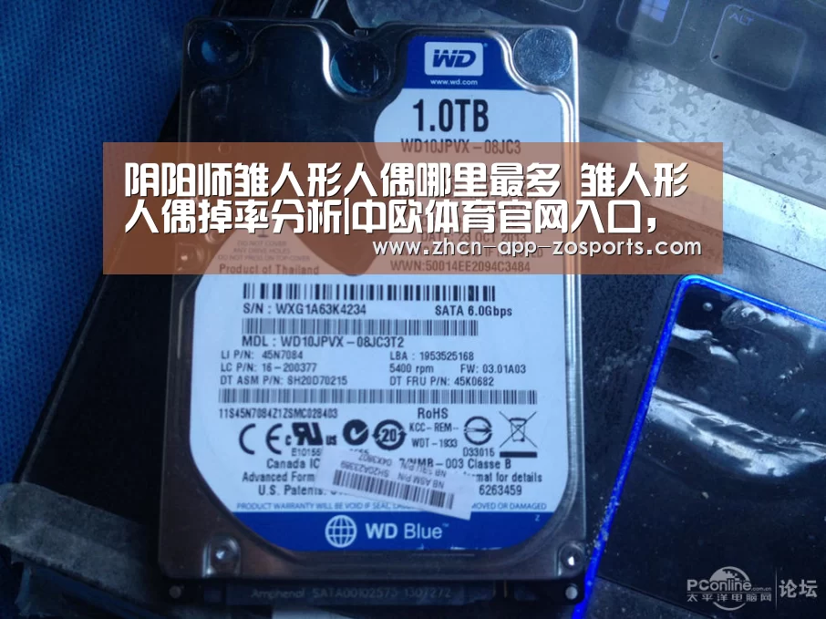 中欧体育官网入口，中欧体育官方下载，中欧体育平台